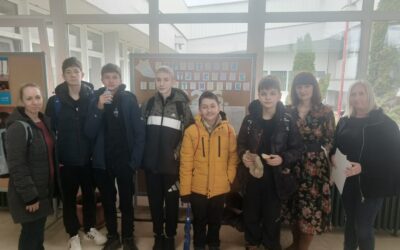 Imamo dva županijska viceprvaka iz matematike!