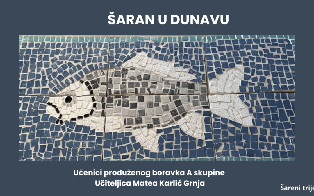 “Šaran u Dunavu” u Arheološkom muzeju Istre